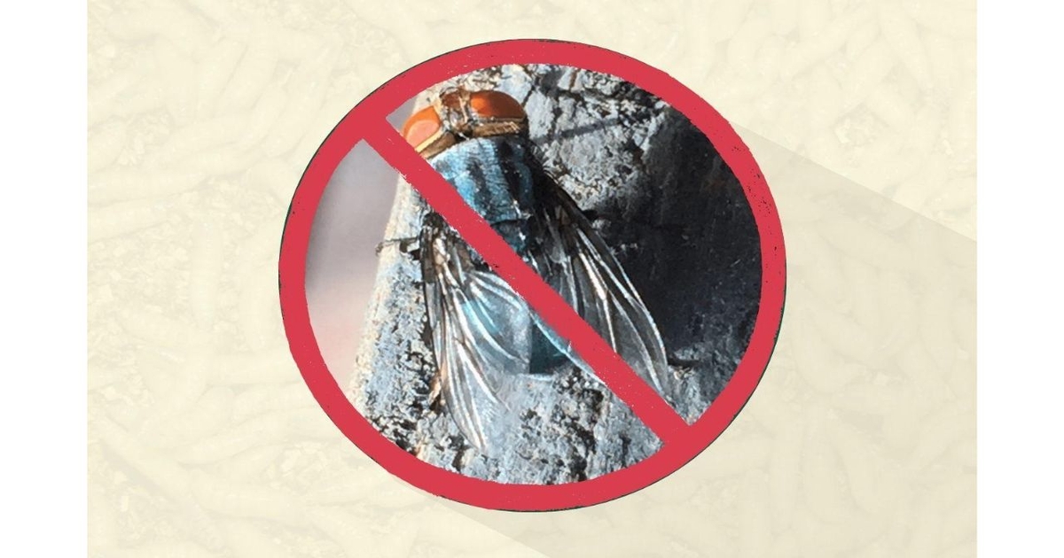 USDA announces New World screwworm grand challenge