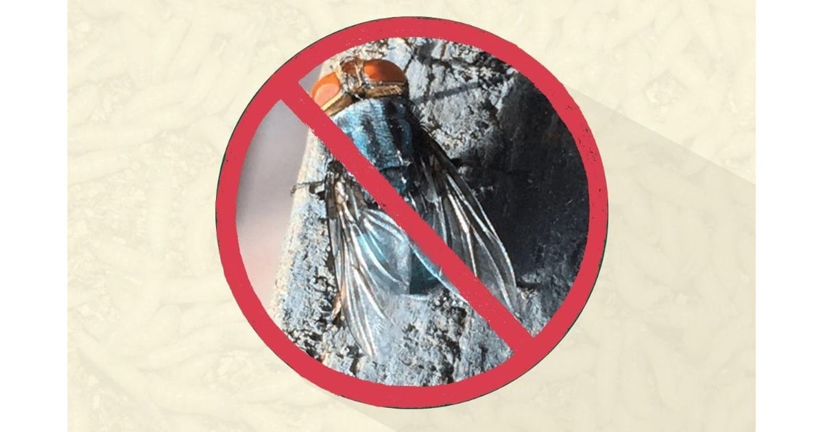 USDA announces New World screwworm grand challenge