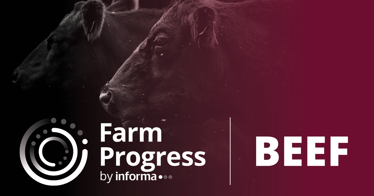Cow-Calf Operation recent news | page 35 of 35 | Beef Magazine
