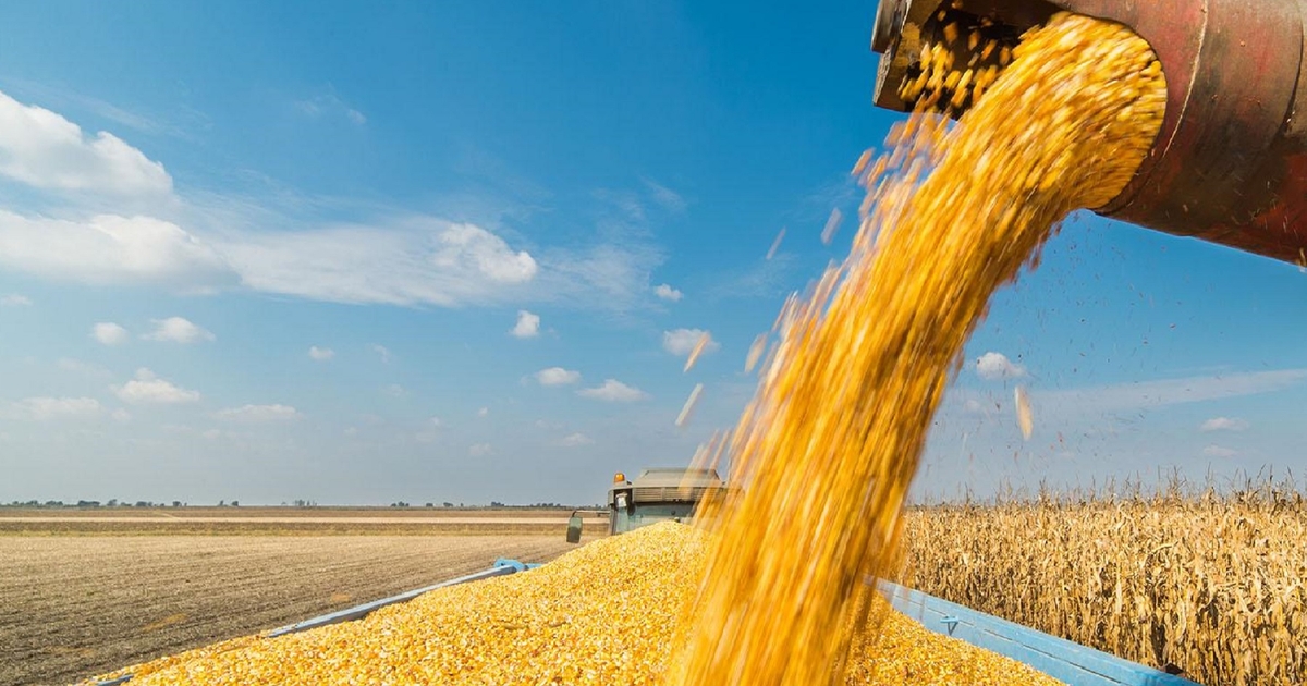 Farm Progress America, October 14, 2024