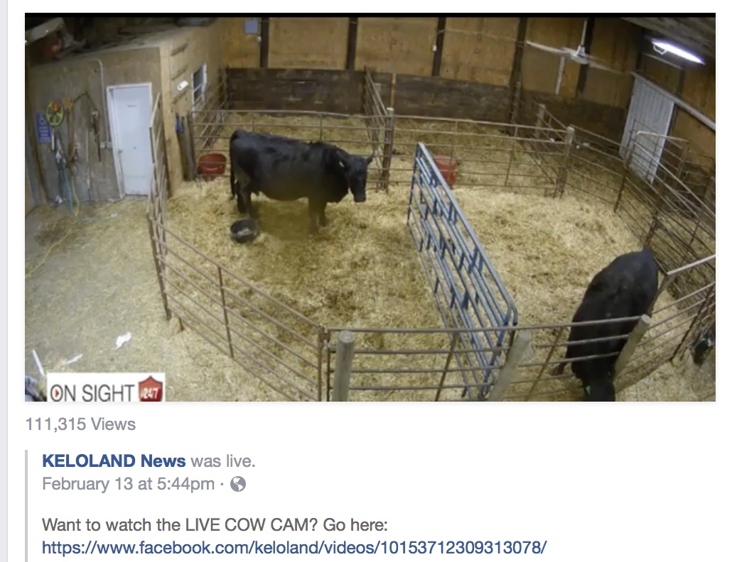 Keloland best sale live stream