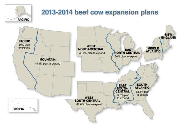 2013-2014 beef industry expansion plans