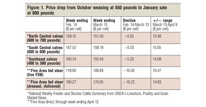What's the outlook for calf prices?