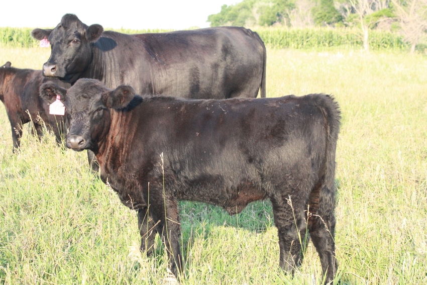 4 interesting ag reads to check out today 4 interesting ag reads to check out today