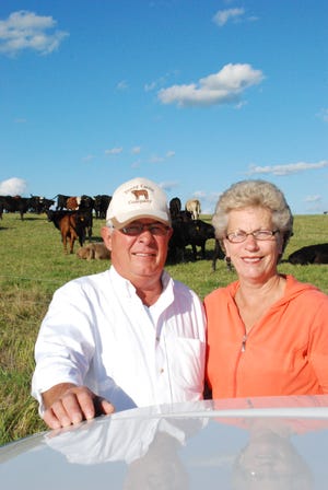 2014 Stocker Award Winner | Young Cattle Company