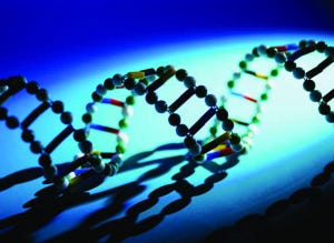 Is DNA Testing Hitting Its Stride?