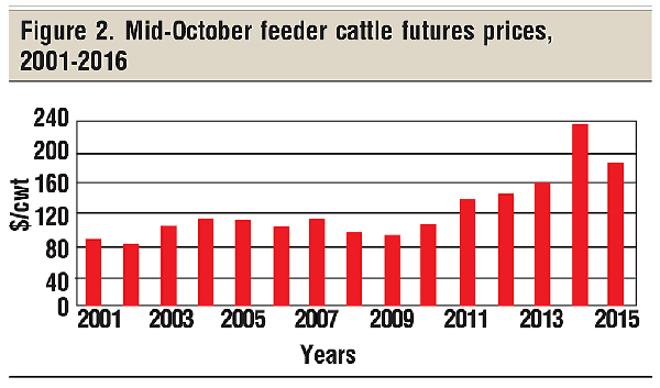 mid-october feeder cattle prices