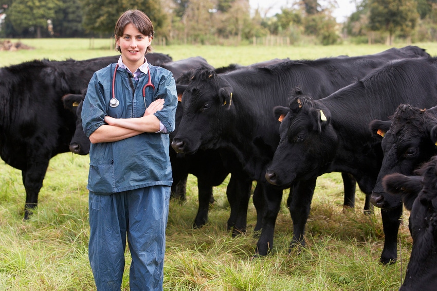 Summer Herd Health Part 3: Ranchers seeking large animal vets for maintaining herd health