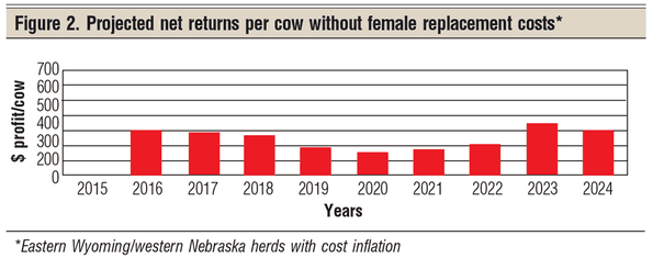 projected net returns per cow