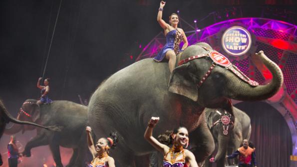 Ringling Bros. and Barnum & Bailey® Won’t Back Down To Animal Rights Extremists