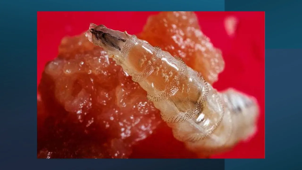 Coater Developer Mating changes chemical coating on screwworms
