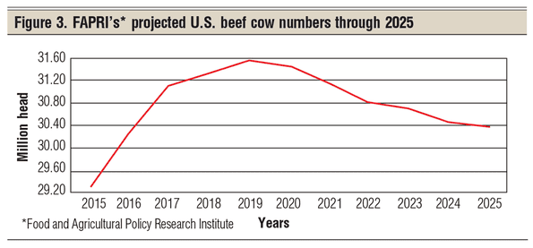 FAPRI's projected U.S. beef cow numbers