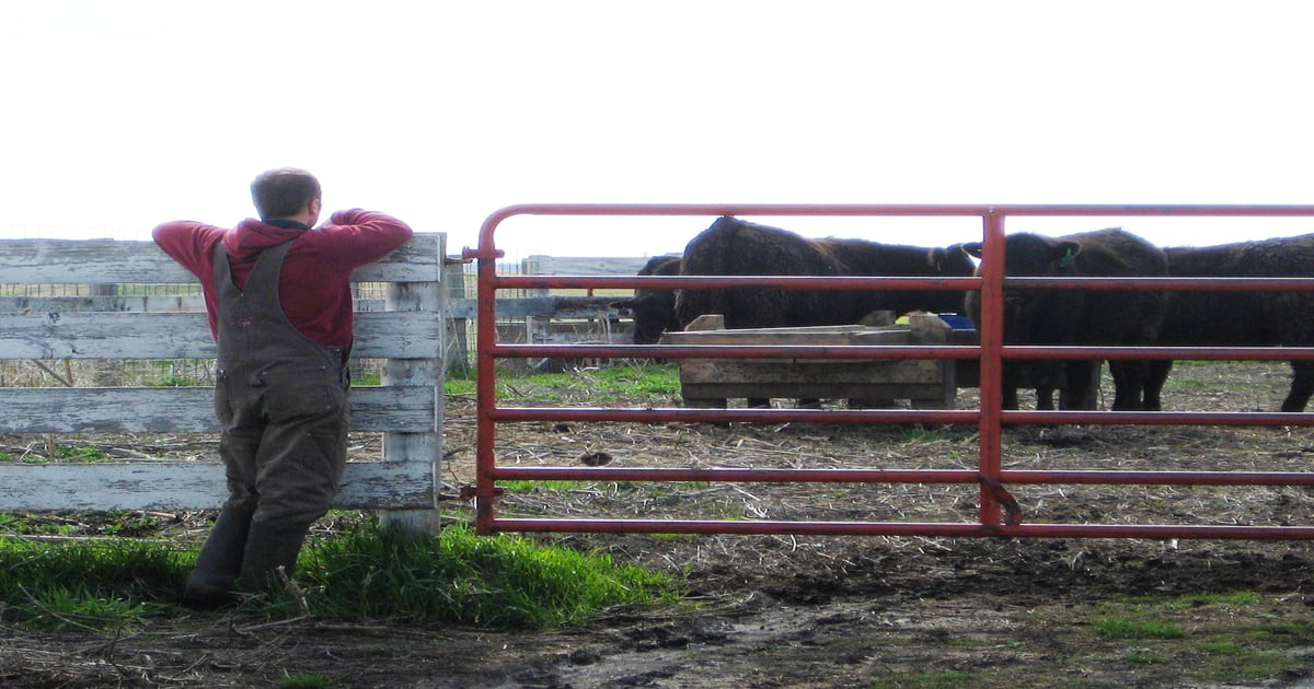 It’s time for a risk analysis of the ranch