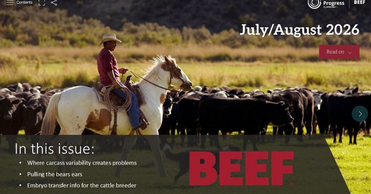 July/August 2026 edition of BEEF available