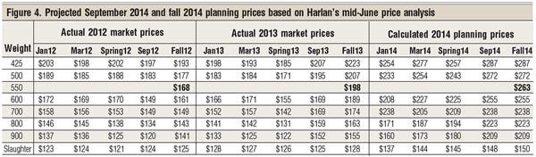 project cattle prices harlan hughes