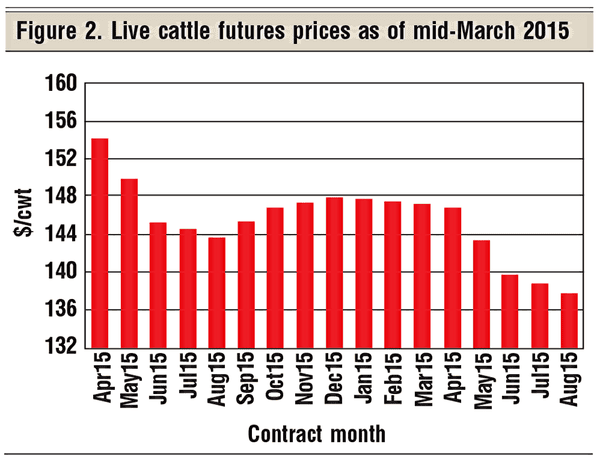 live cattle futures prices