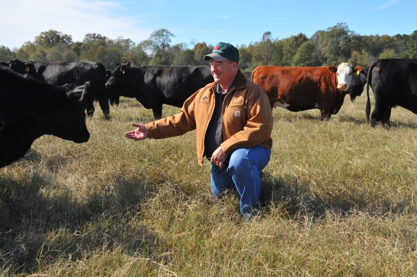 Mississippi Cattleman Sprays Weeds & Stockpiles Grass To Save Money