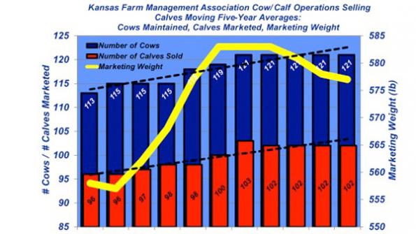 Industry At A Glance: Kansas Cowherd Trends