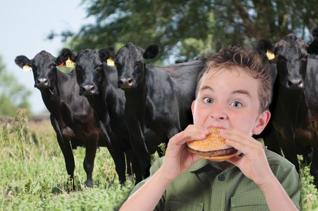 Population And Economics Propel Beef Demand