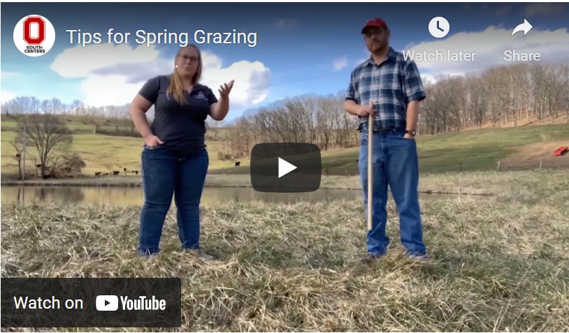 4-08-21 grazing.png 4-08-21 grazing.png