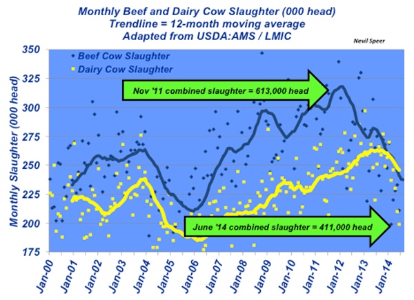 Industry At A Glance: Declining Beef & Dairy Cow Slaughter