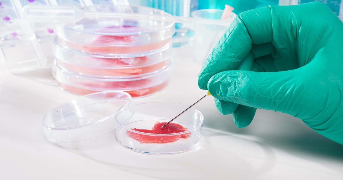 Petridish proteins continue to push forward during pandemic