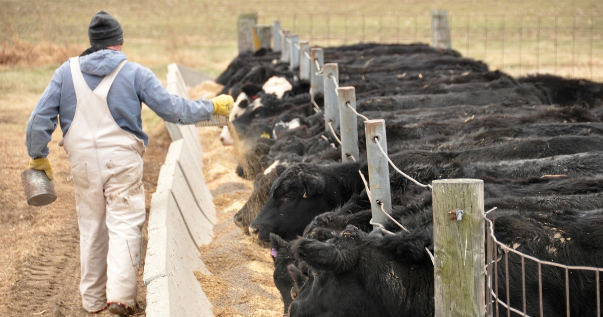How to win in the beef margin game