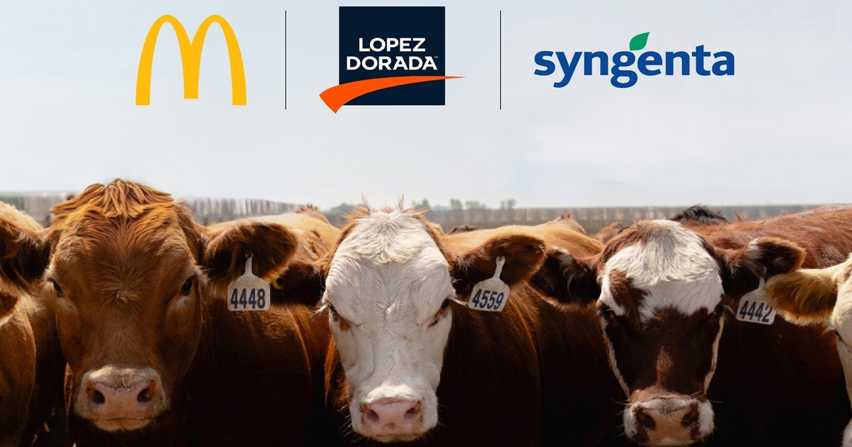 McDonald’s, Syngenta and Lopez Foods aim to increase feed efficiency, reduce GHG emissions