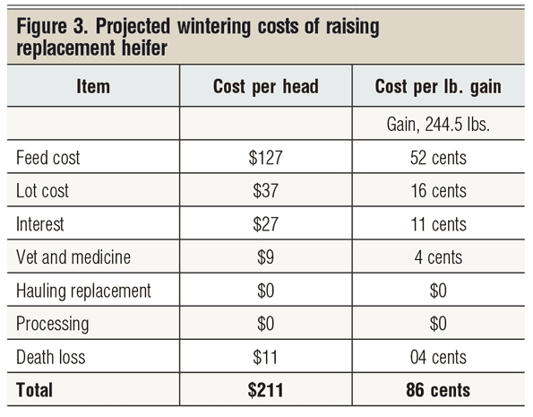 projected wintering costs for replacement heifer