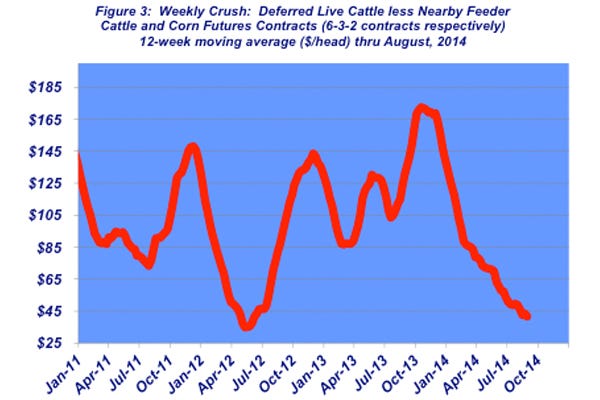 weekly cattle crush