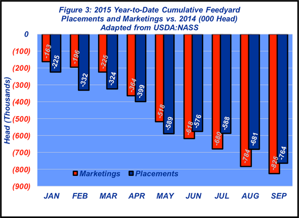 feedlot placements year to date