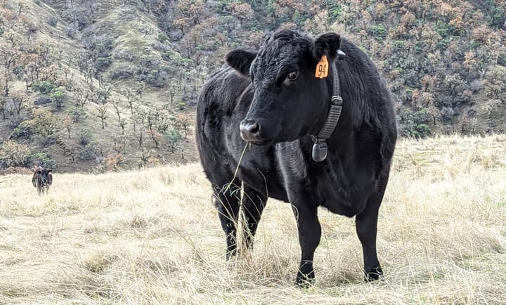 Virtual fencing partnership expanded across BLM-managed lands