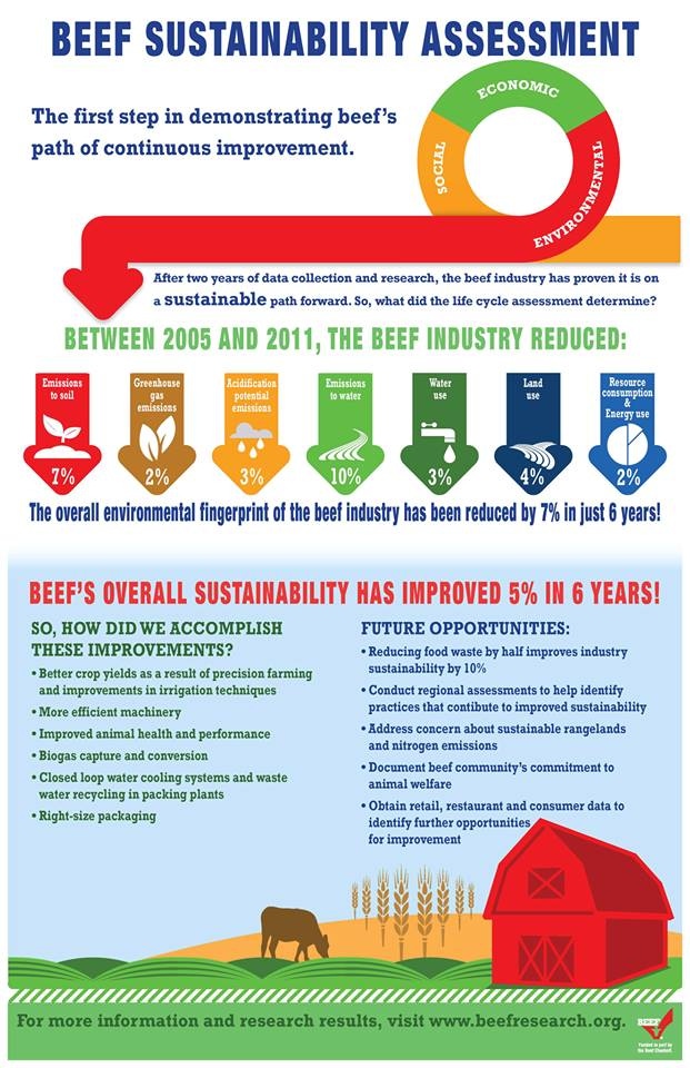 Cattle Industry Improves Overall Sustainability By 5% Cattle Industry Improves Overall Sustainability By 5%