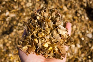 Do you have mold and mycotoxins in your silage?