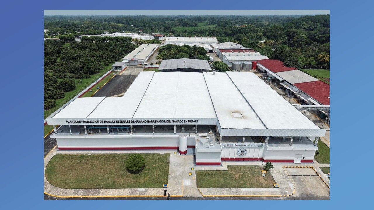 Mexico and U.S. inaugurate new sterile fly facility in Chiapas