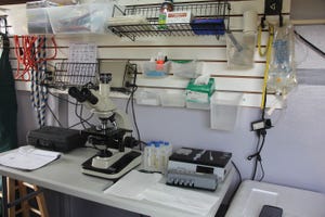 Phase-contrast microscope in lab 