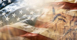 US flag and wheat montage