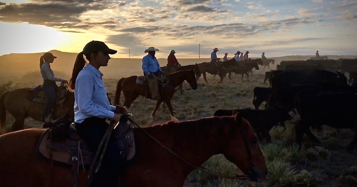 3 more days to vote for your favorite “Best Ranch Hands” photo