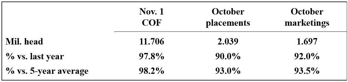 2025년 11월_사료먹는_소.jpg