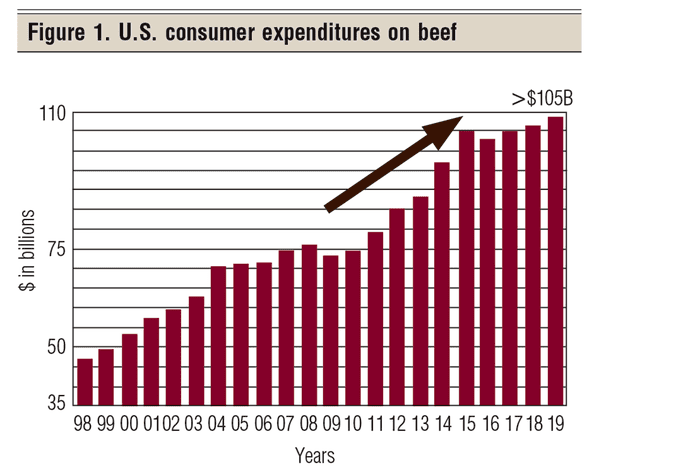 Consumer expenditures on beef 