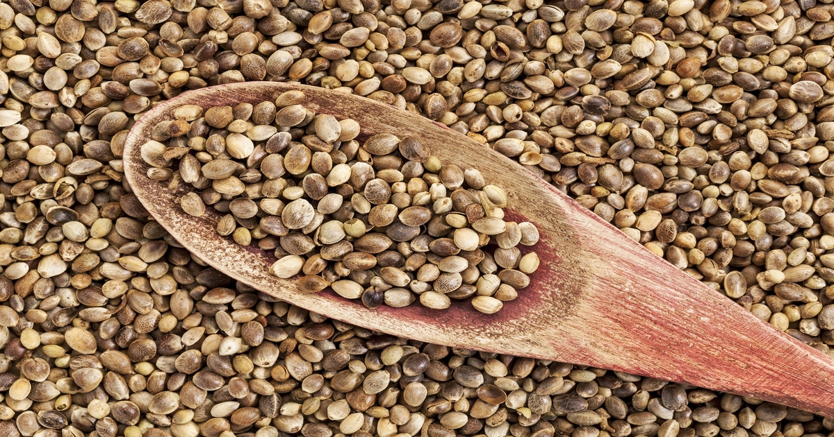 No THC detected in milk or meat of cows fed hemp byproduct