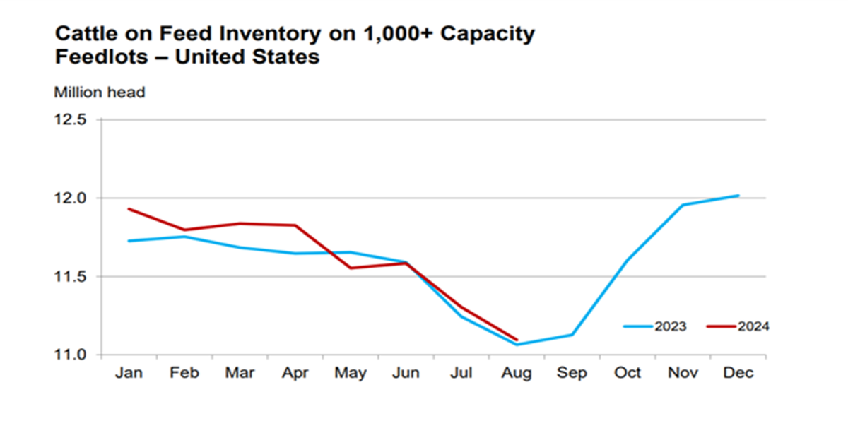 August report shows feedlot inventory up slightly