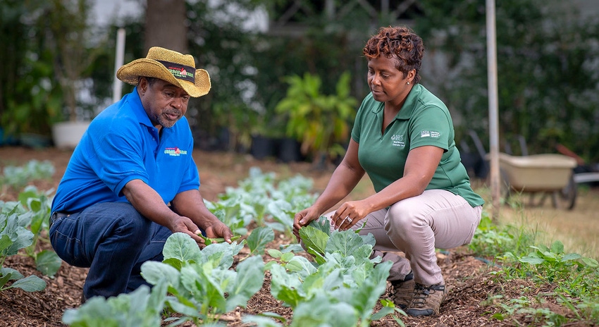 African American farmers aid package from USDA