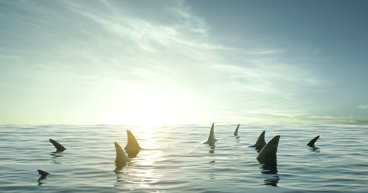 COOL vs. the problem solvers