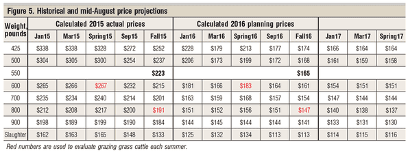 historical price projections for cattle