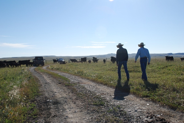 Protecting ourselves, protecting our ranching business
