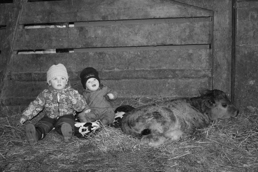 3 ways to follow the Beef Meet from home 3 ways to follow the Beef Meet from home