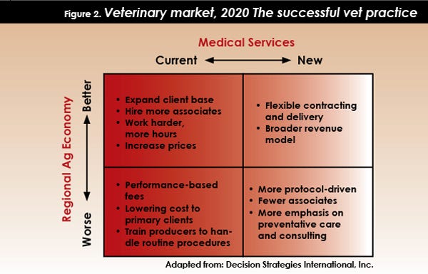what is a  successful vet practices in 2020