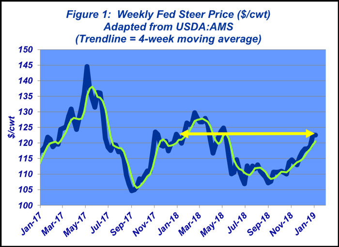 Weekly Fed Steer Price - January 2019