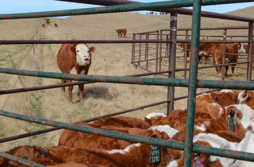 Is preconditioning a viable option? Is preconditioning a viable option?
